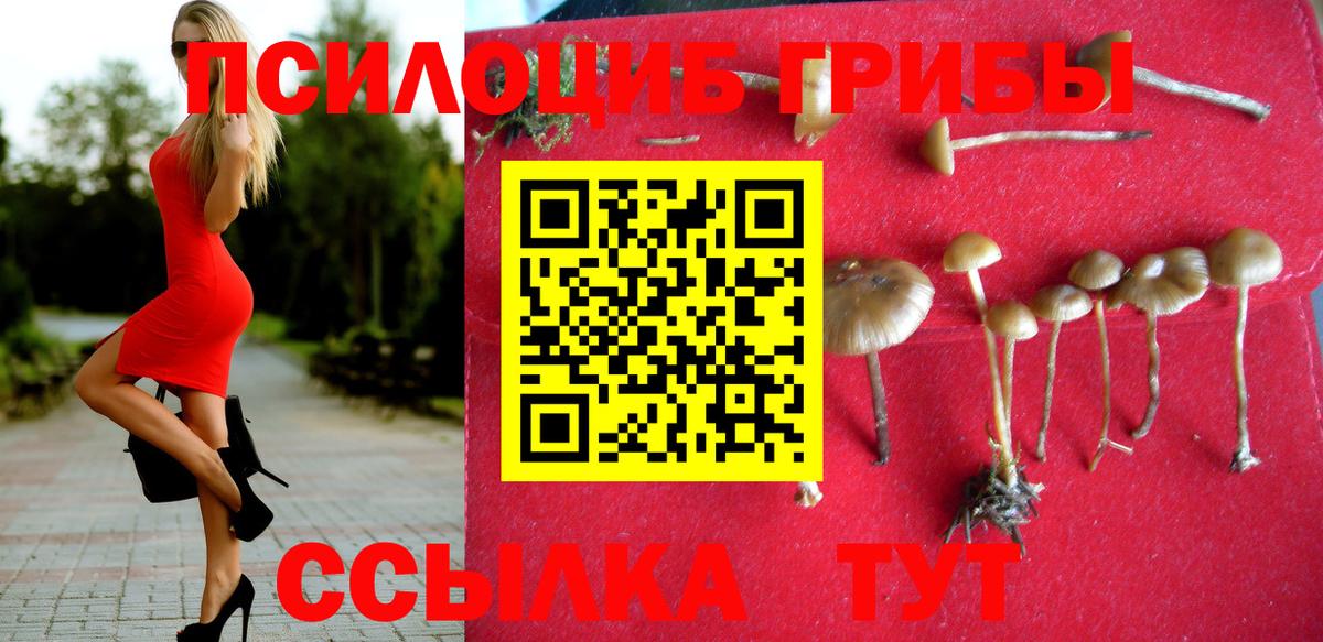 Светлоград  Псилоцибиновые грибы ЛСД  Вход с VPN  Галлюциногенные грибы мицелий 