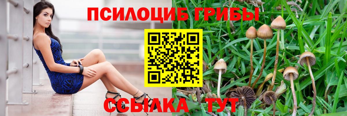 Галлюциногенные грибы мухоморы Светлоград