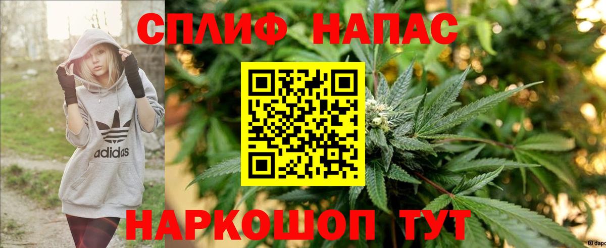Марихуана конопля Светлоград